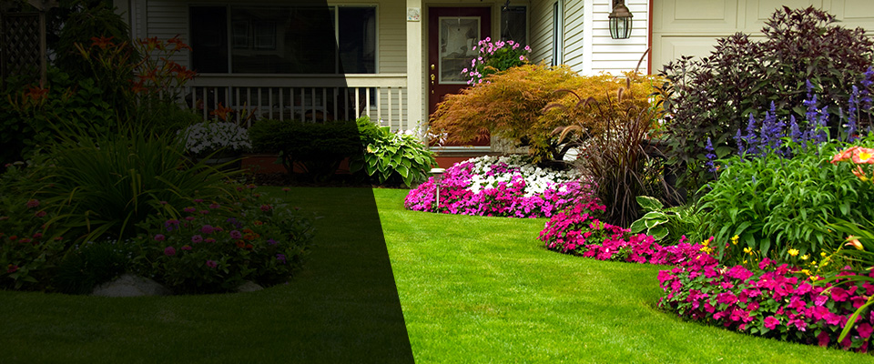 Port Orchard Landscapers