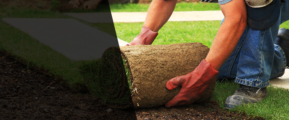 Port Orchard Landscapers